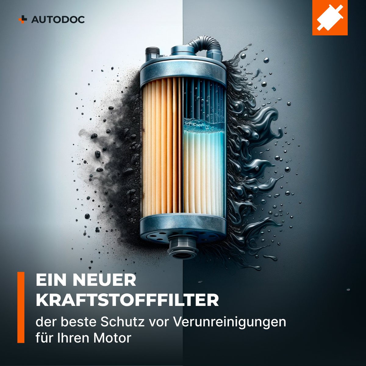 Bild 5 von 12