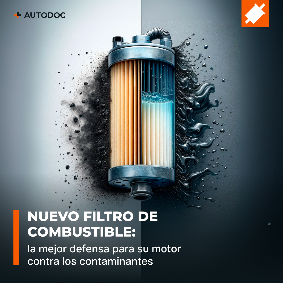 Imagen 5 de 12