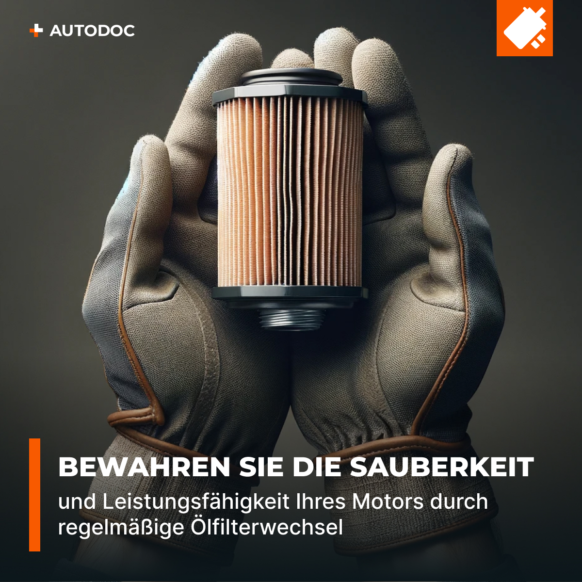 Bild 6 von 12