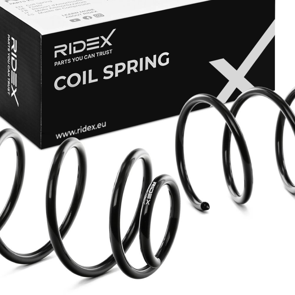 RIDEX 188C3950 Fahrwerksfeder Hinterachse