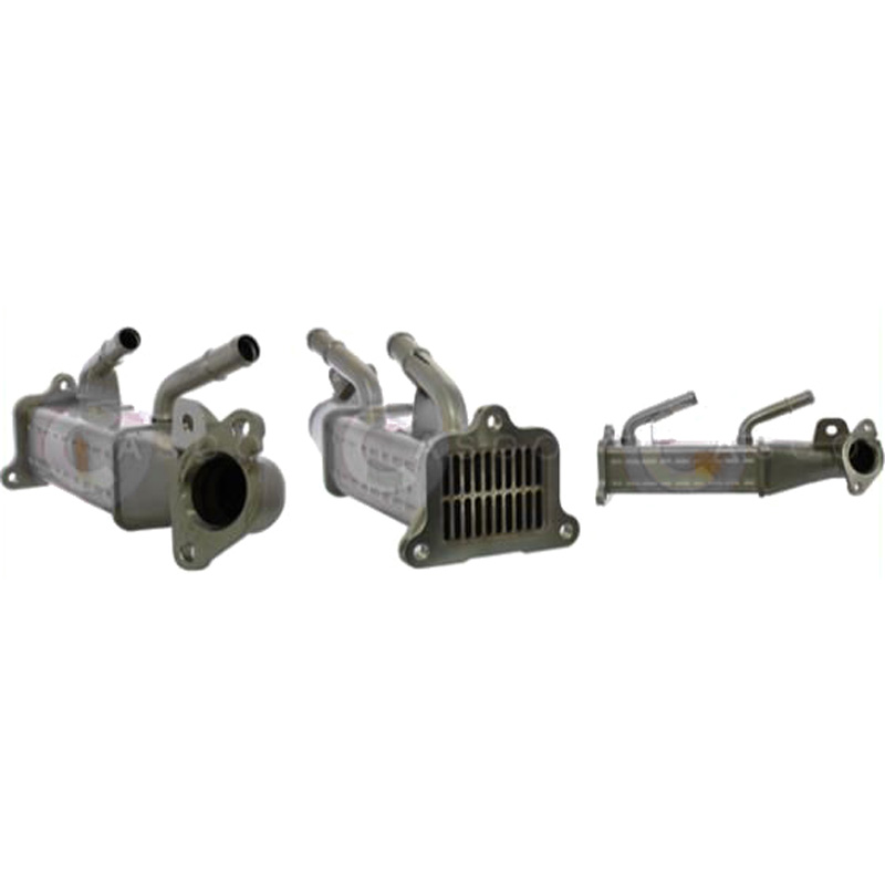 CASCO CRG72003GS AGR Kühler Genuine