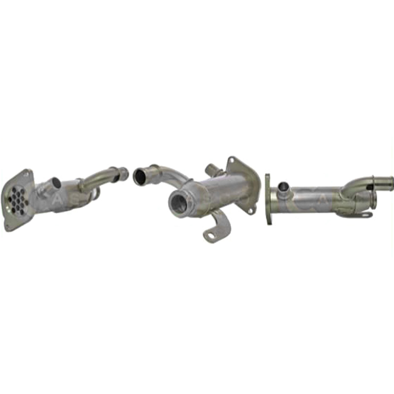 CASCO CRG72011GS AGR Kühler Genuine