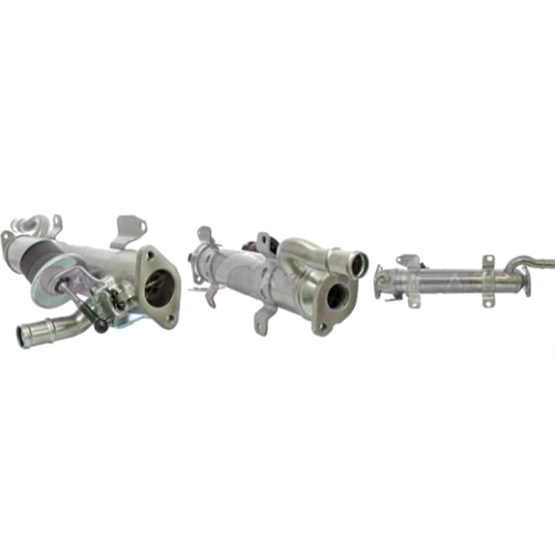 CASCO CRG73000AS AGR Kühler Genuine