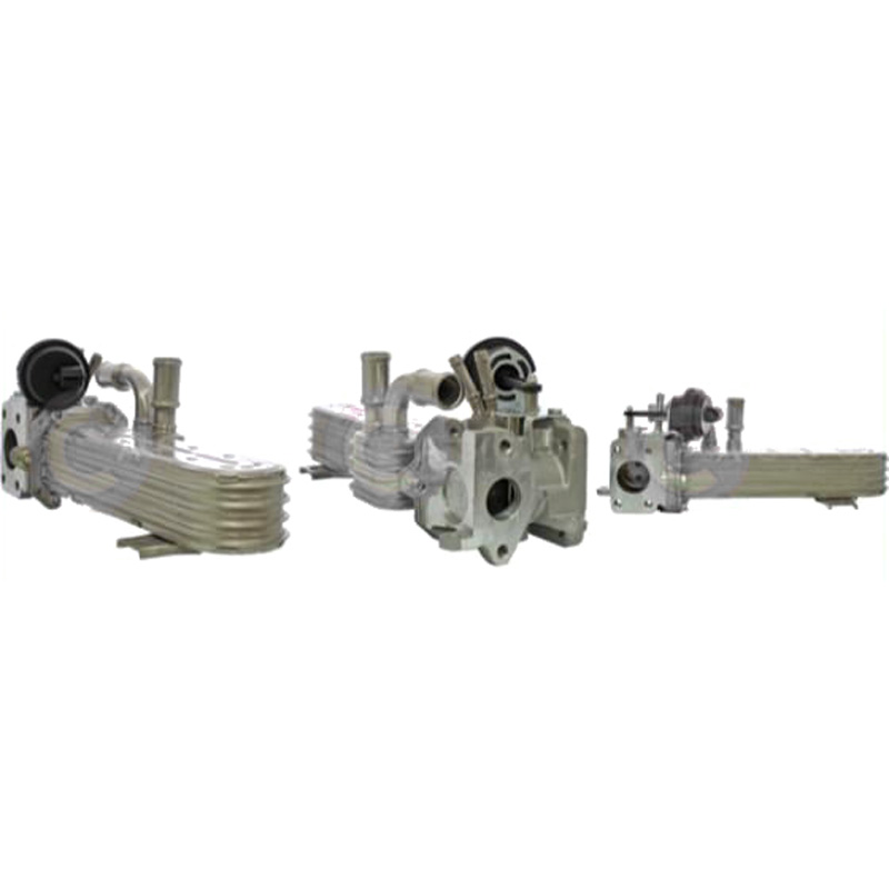 CASCO CRG73016AS AGR Kühler Genuine