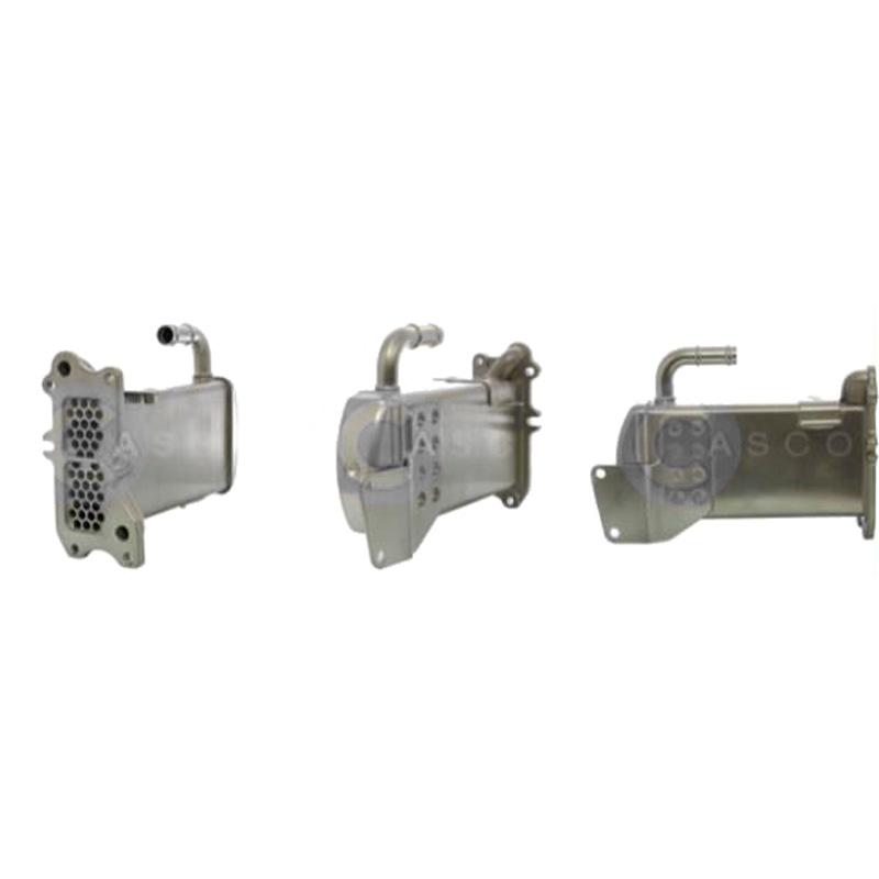 CASCO CRG73023AS AGR Kühler Genuine