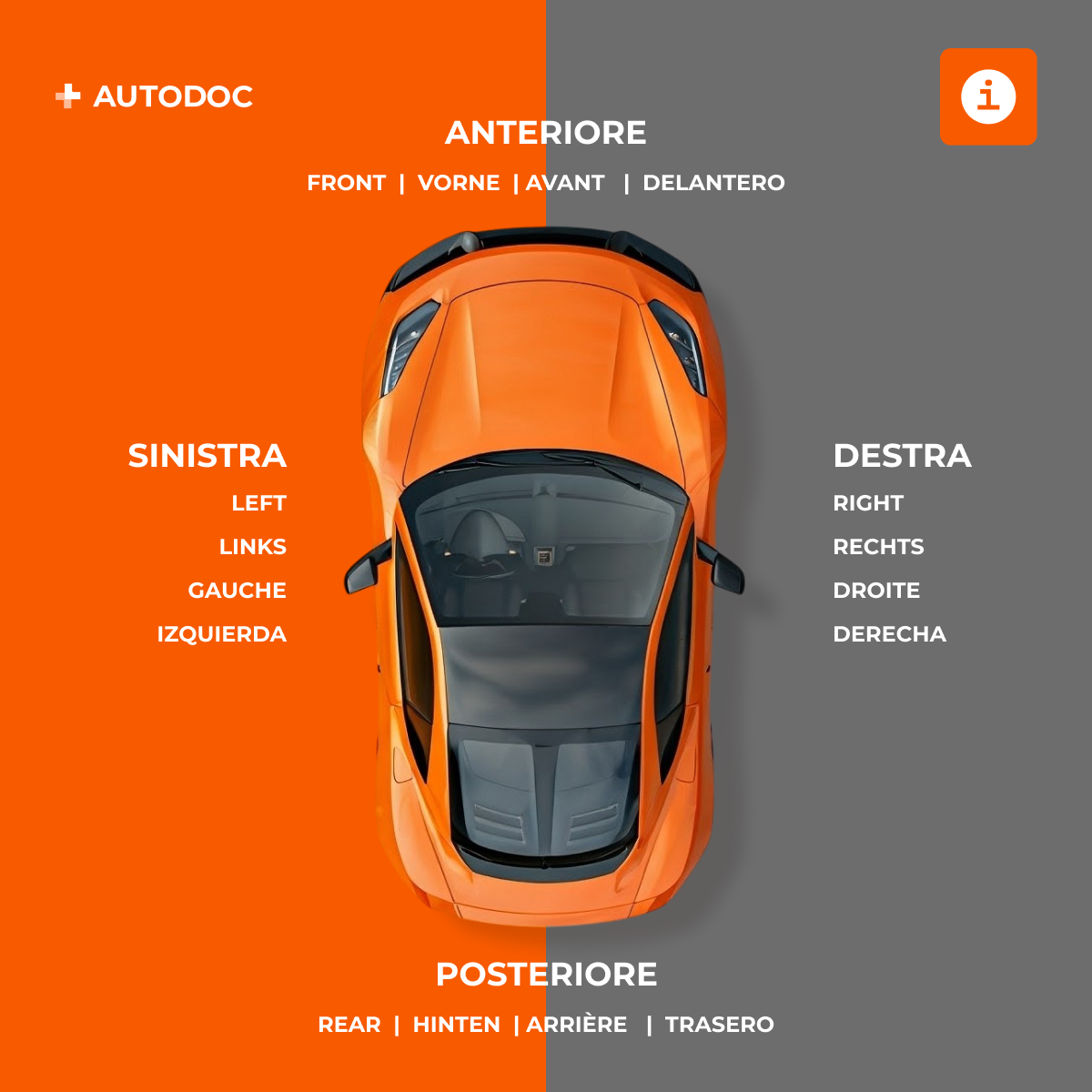 Foto 2 di 6