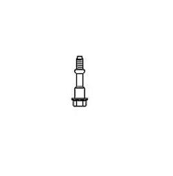 VEGAZ TM-119 Schraube, Abgasanlage M10 61, 52,5