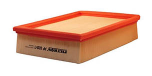 FILTRON AP 028/1 Filtro aria Cartuccia filtro