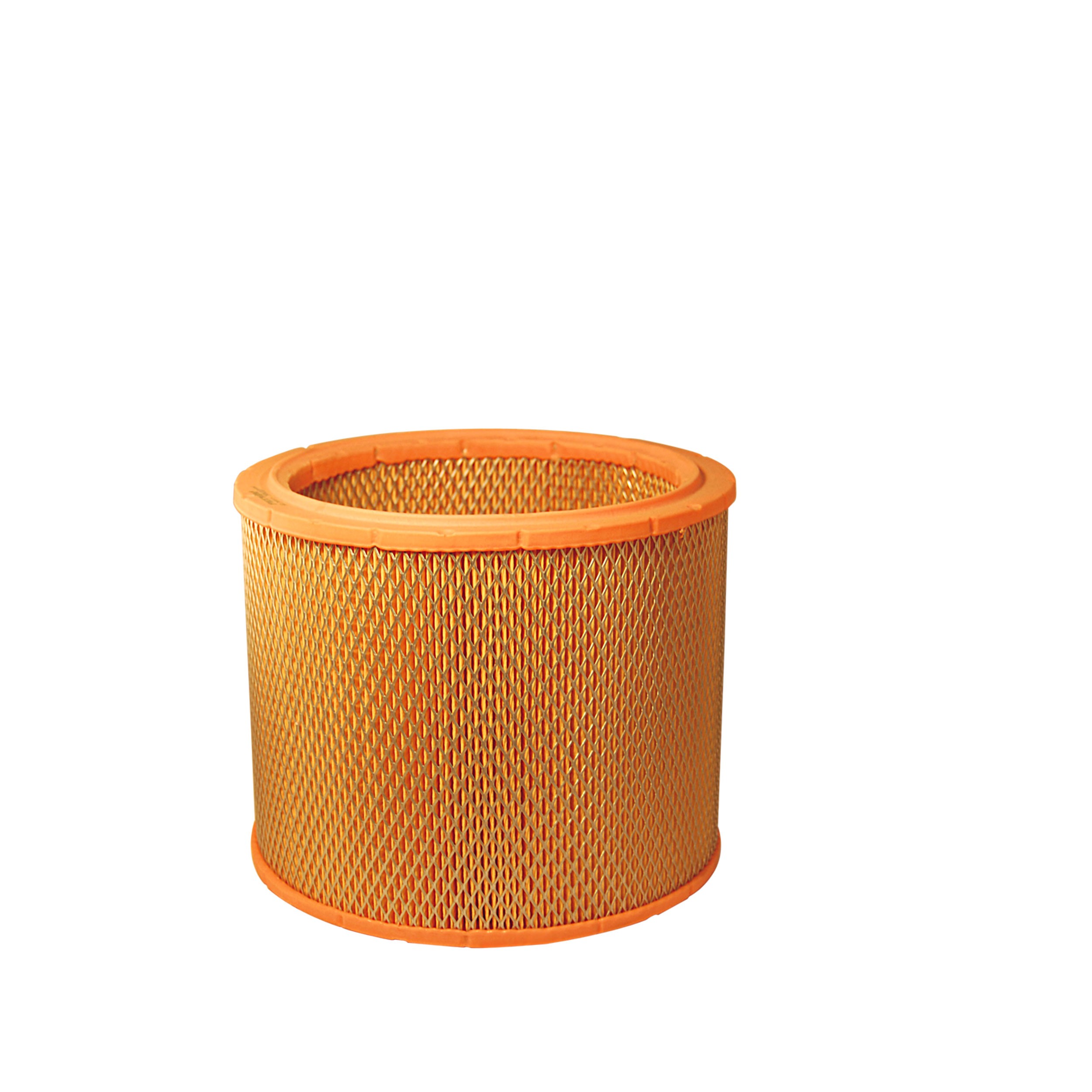 Filtro aria Cartuccia filtro AR 200/1 FILTRON - Immagine 4