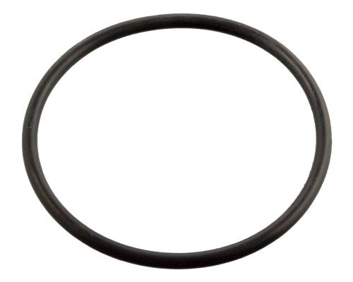 Febi Bilstein Guarnizione, Termostato 11443 - Immagine 4