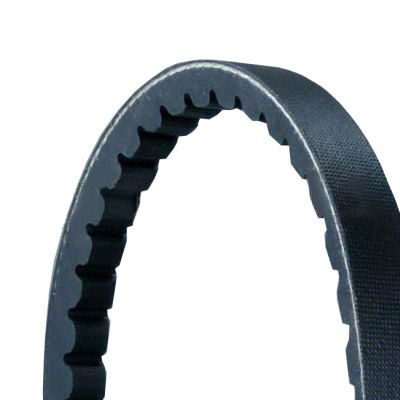 CONTITECH AVX13X655 Cinghie Scanalate Lunghezza: 655mm