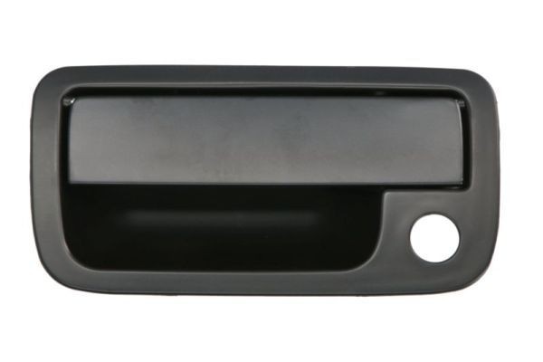 BLIC 6010-01-056417PP Door Handle outer, without key, black-image-21977776