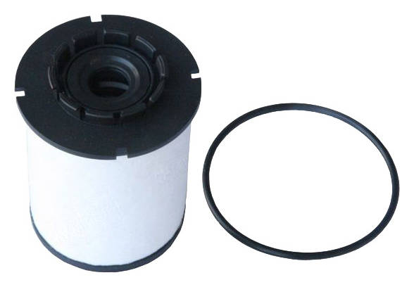 Photos - Fuel Filter CHAMPION CFF100707  Filter Insert, with gaskets/seals 