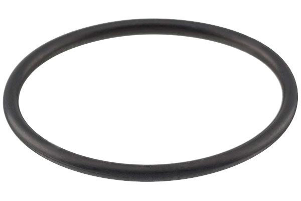 TOPRAN 100 576 Gaskets-image-2722579