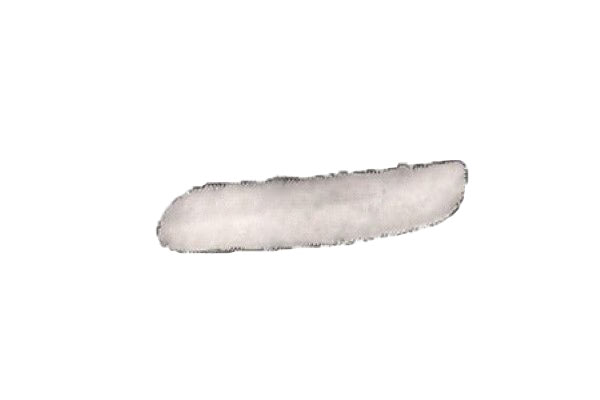 PRASCO MN3041244 Modanatura decorativa/ protettiva, Paraurti anteriore Sx