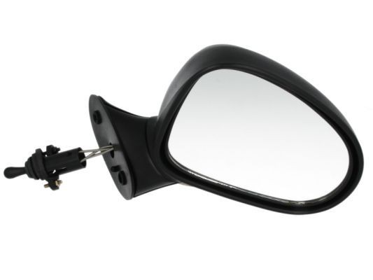 BLIC 5402-04-1115193P Specchietti retrovisori Dx, meccanico, convesso