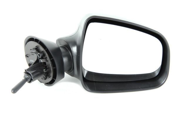 BLIC 5402-04-1115592P Specchietti retrovisori Dx, meccanico, convesso