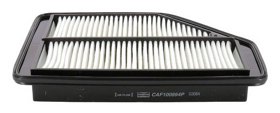 Photos - Car Air Filter CHAMPION CAF100894P Air filter Filter Insert 