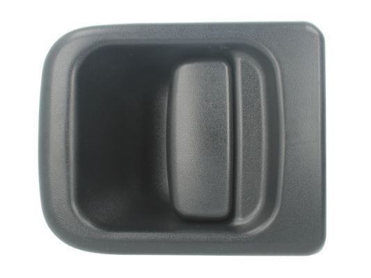 BLIC 6010-09-032401P Door Handle Left Front, black-image-7919231