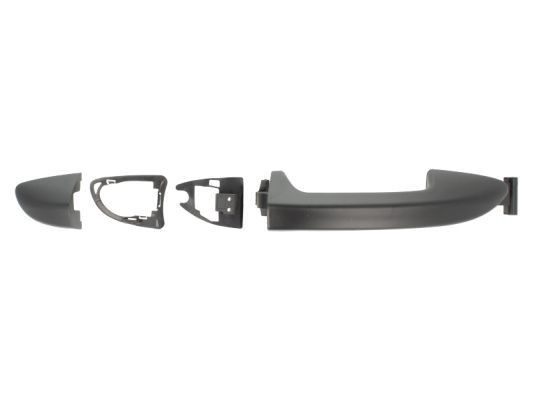 BLIC 6010-01-043402P Door Handle Right Rear-image-7921076