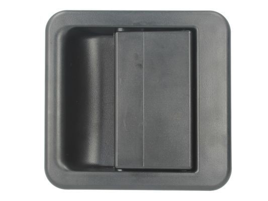 BLIC 6010-07-006405P Door Handle Right Front, black-image-7921166