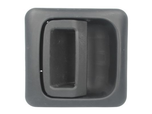 BLIC 6010-07-031405P Door Handle Right Front, black-image-7921189