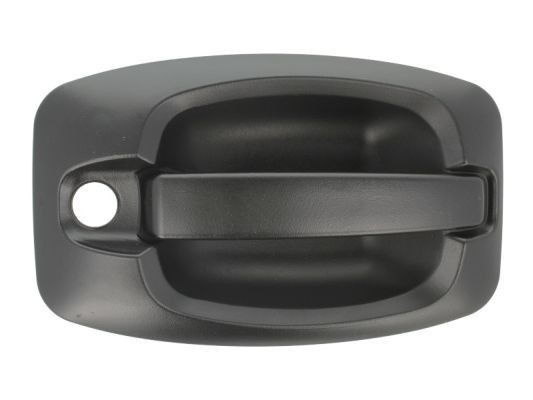 BLIC 6010-07-038401P Door Handle Left Front, black-image-7921190