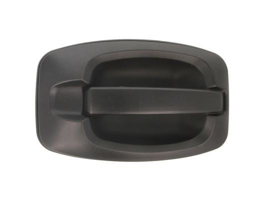 BLIC 6010-07-038402P Door Handle Right Front, black-image-7921191