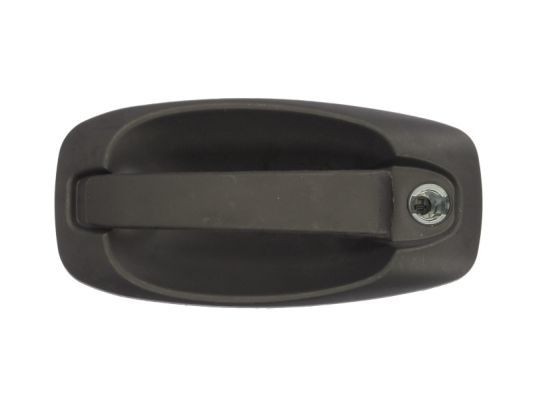 BLIC 6010-07-043401P Door Handle Left Front, black-image-7921203