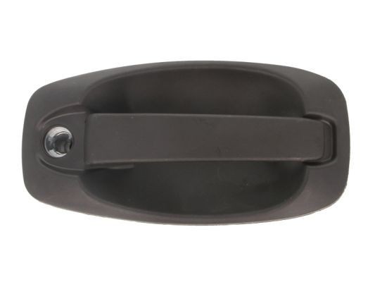 BLIC 6010-07-043417P Door Handle Rear, black-image-7921205