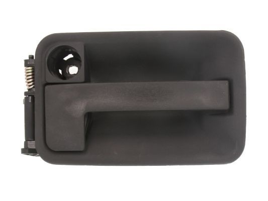 BLIC 6010-08-002417P Door Handle Rear, black-image-7921208