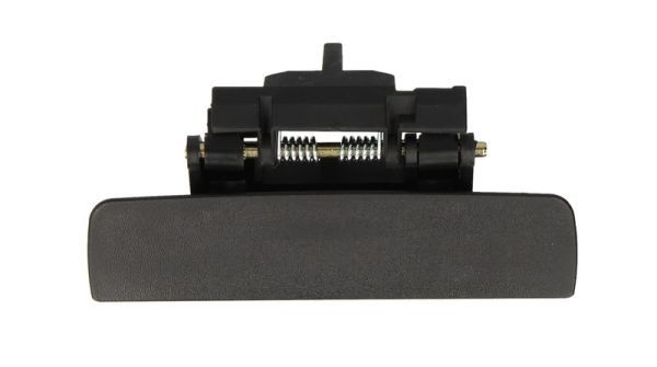 BLIC 6010-08-005403P Door Handle Left Rear, black-image-7921210