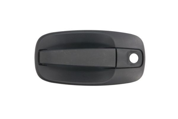 BLIC 6010-09-041401P Door Handle Left Front, black-image-7921245