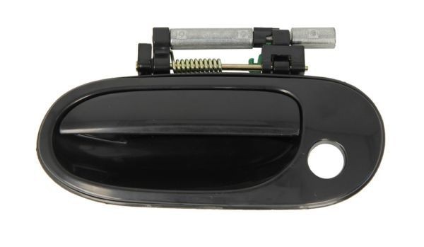 BLIC 6010-16-026401P Door Handle Left Front, black-image-7921311