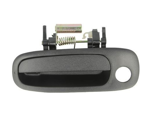 BLIC 6010-19-030401P Door Handle Left Front, black-image-7921385