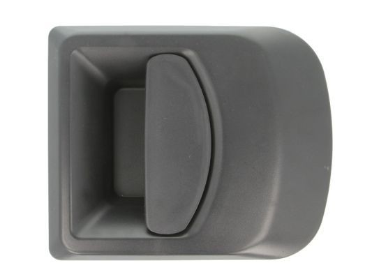 BLIC 6010-30-002402P Door Handle Right Front, black-image-7921479