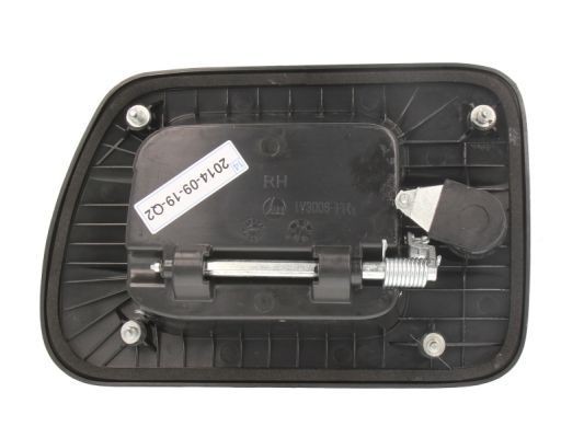 BLIC 6010-30-004402P Door Handle Right, with piston clip, black, with key-image-7921483