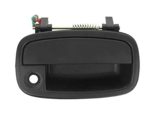 BLIC 6010-53-002402P Door Handle Right Front, black-image-7921488