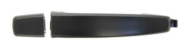 BLIC 6010-56-005406P Door Handle Right Rear-image-7921518