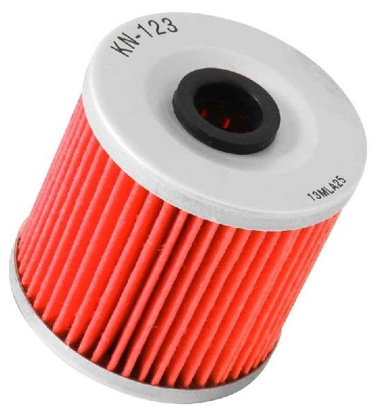 K&N Filters KN-123 Oil filter Filter Insert-image-7938027