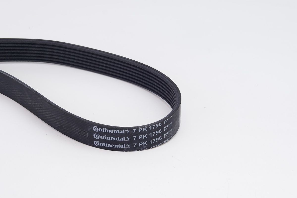 CONTITECH 7PK1795K1 Kit cinghie Poly-V