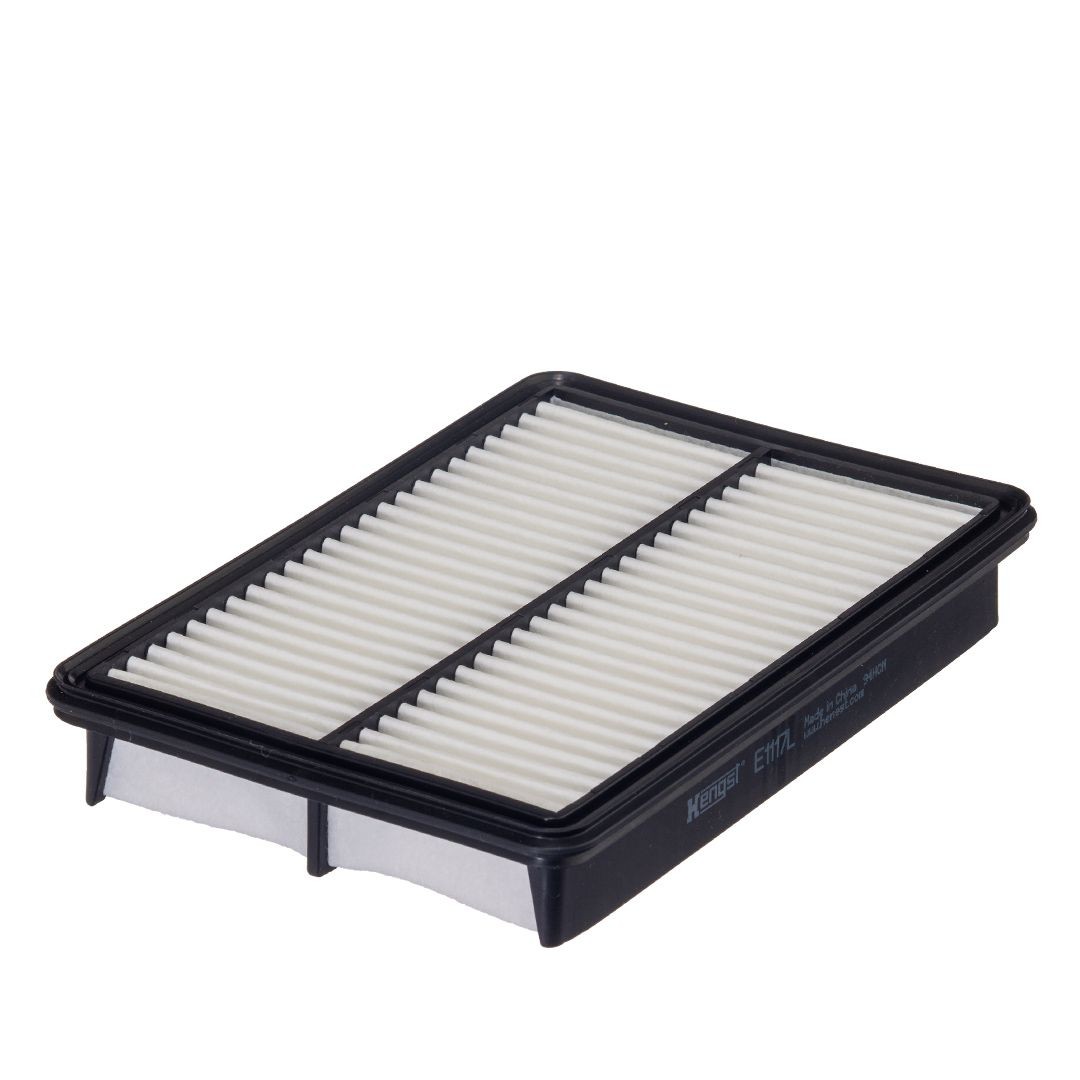 HENGST FILTER 