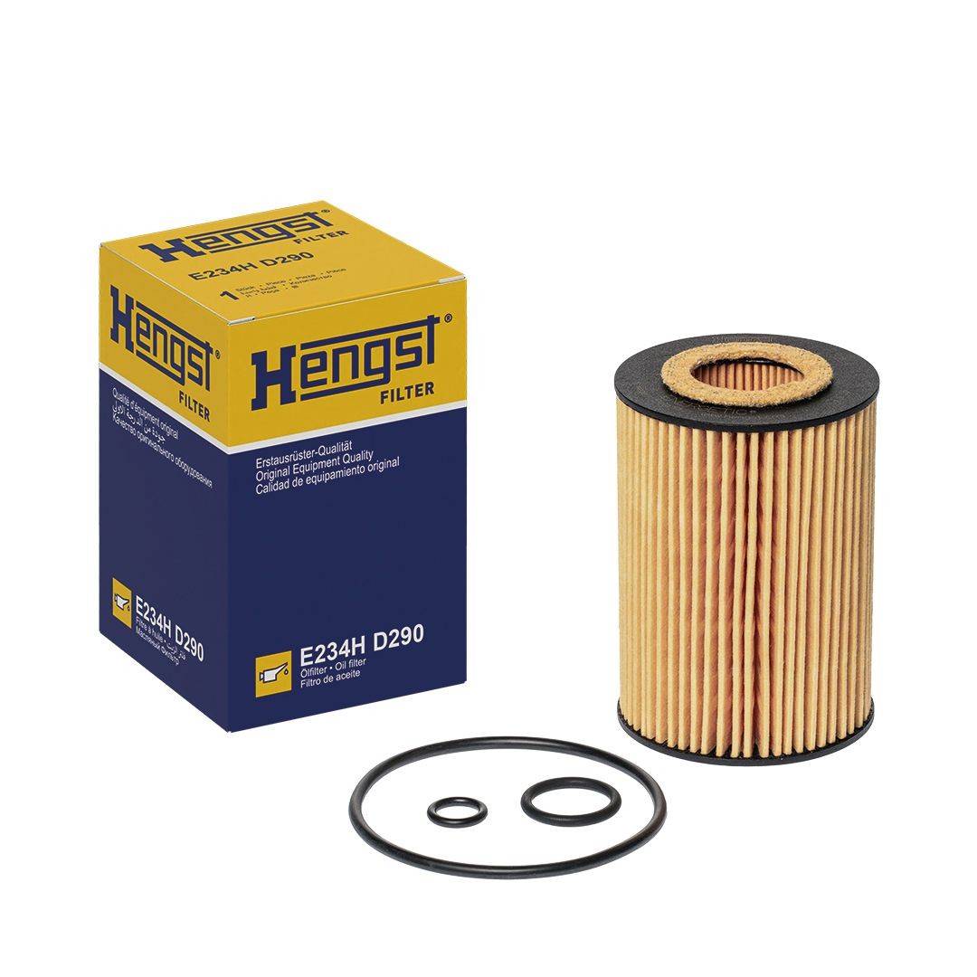 HENGST FILTER E234H D290 Oil filter with gaskets/seals-image-7966852