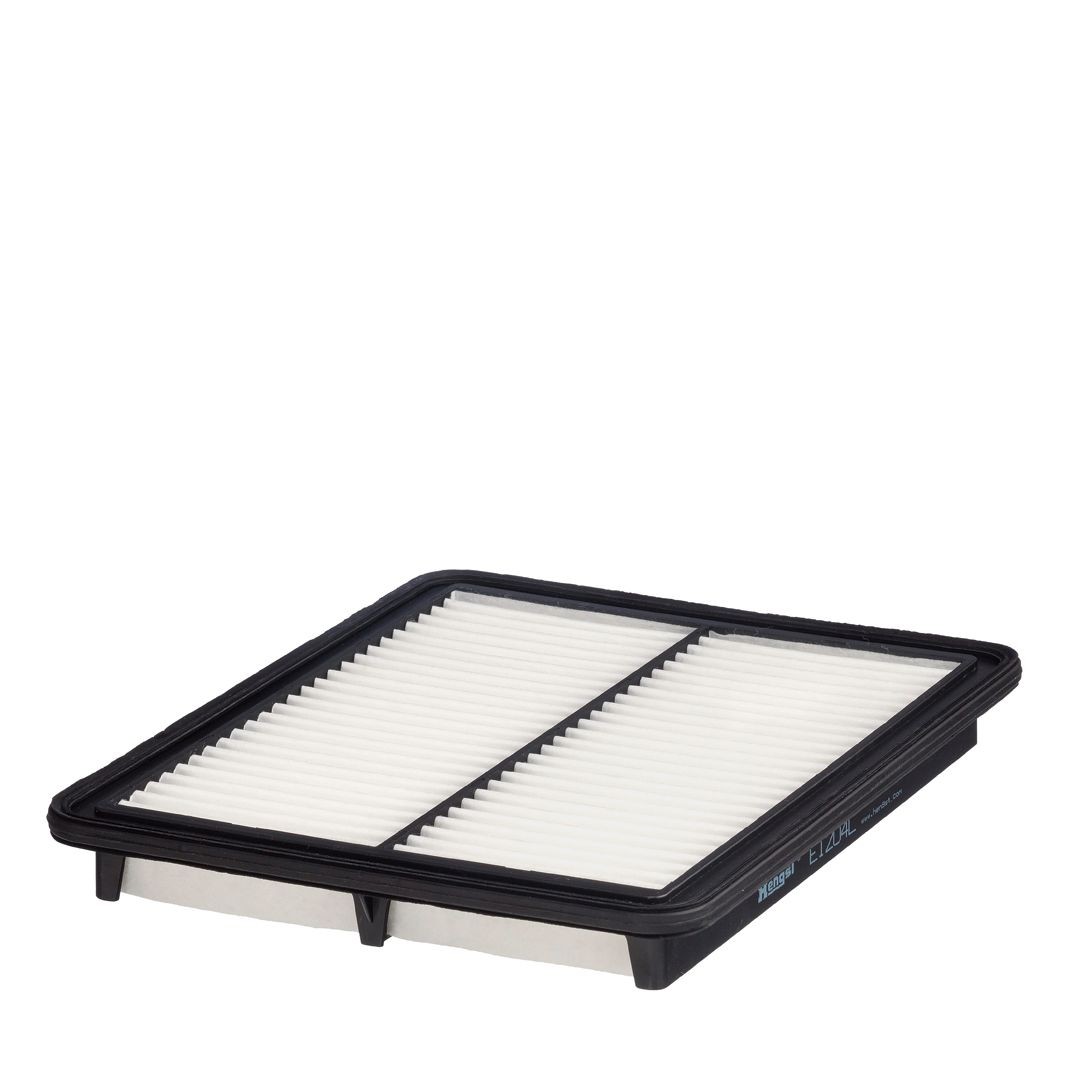 HENGST FILTER 