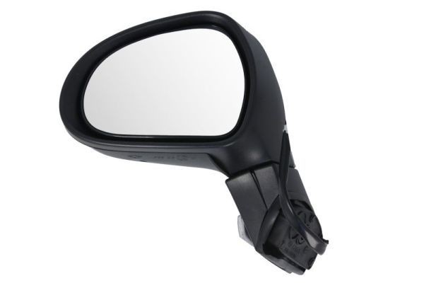 BLIC 5402-04-1137911 Specchietti retrovisori Sx, meccanico, convesso