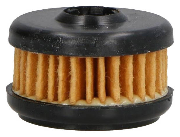 Ashika 10-Gas20s Filtru Combustibil Insertie Filtru, Gaz Metan