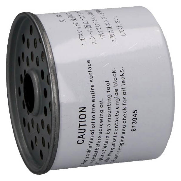 ASHIKA 30-08-891 Fuel Filter Filter Insert-image-8314462