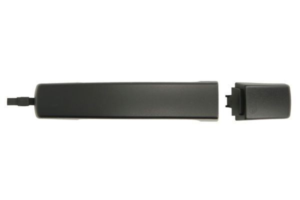 BLIC 6010-57-011401P Door Handle Left Rear, black-image-8330654