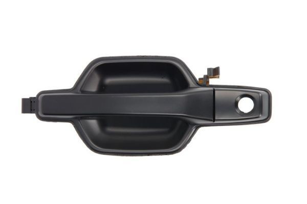 BLIC 6010-15-022401P Door Handle Left Front, black-image-8330659