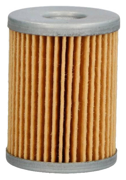 Ashika 10-Gas12s Filtru Combustibil Insertie Filtru, Gaz Metan